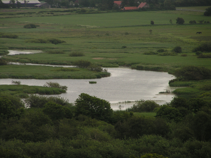 A Danish countryside 02