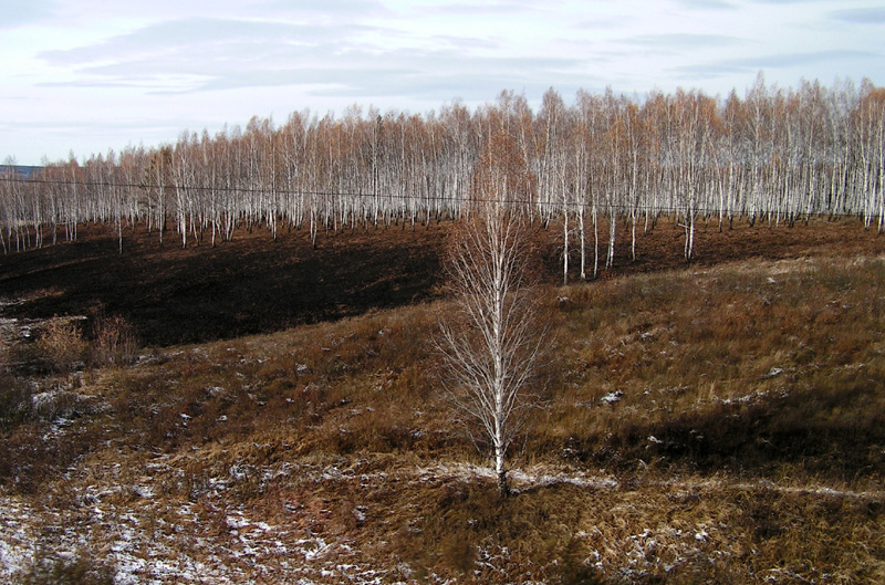 Trans-Siberian Railway 09