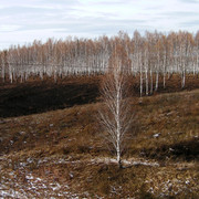 Trans-Siberian Railway 09