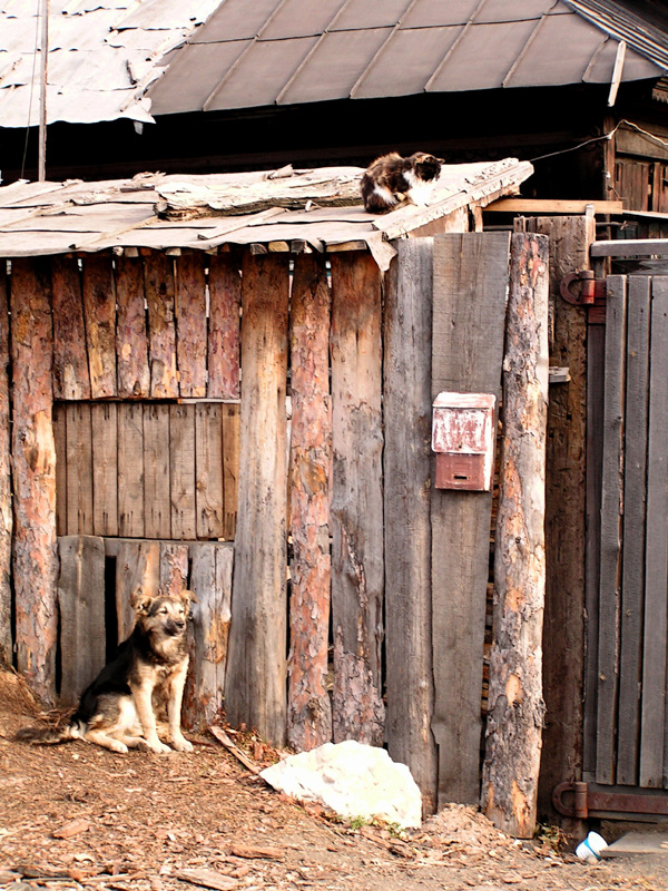 Poor villages around Baikal 04