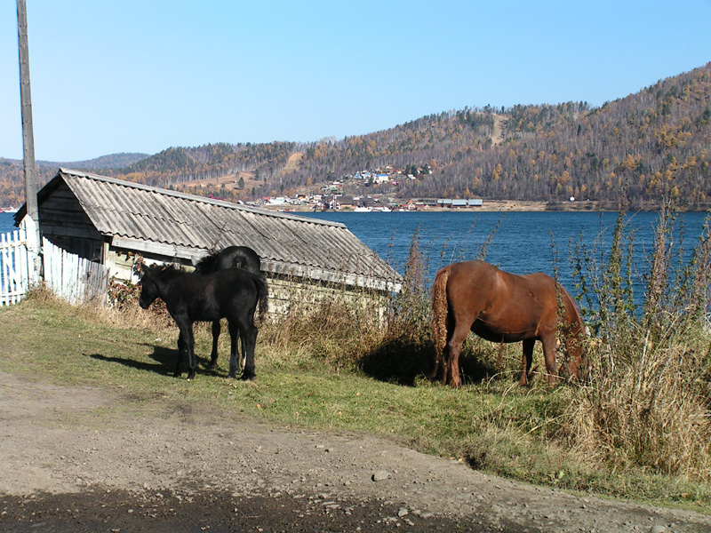 Trekking around Baikal lake 03