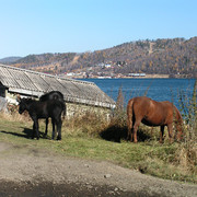 Trekking around Baikal lake 03