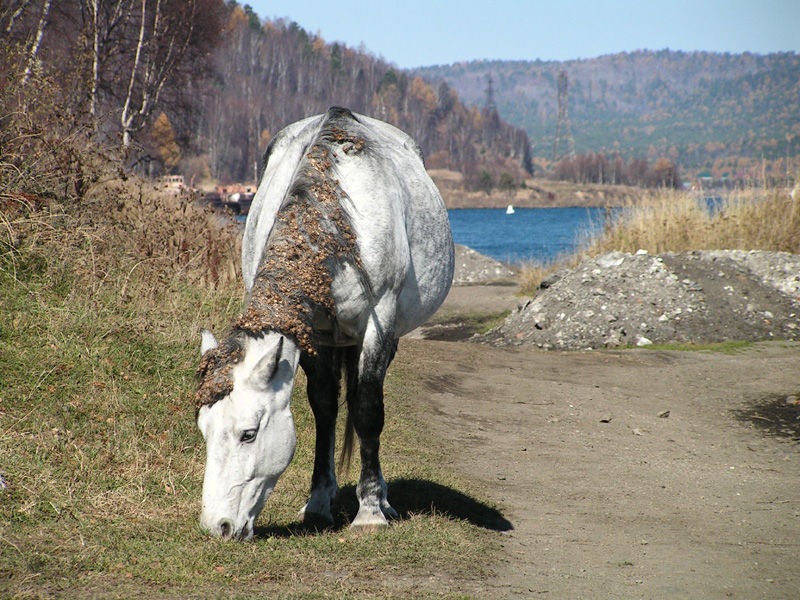 Trekking around Baikal lake 04