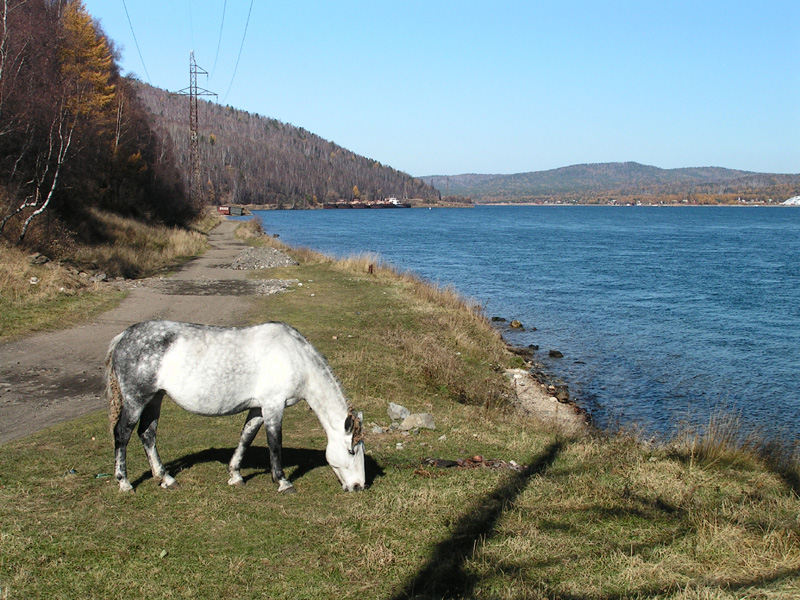 Trekking around Baikal lake 06