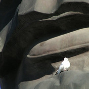 Lenin's head in Ulan Ude - detail