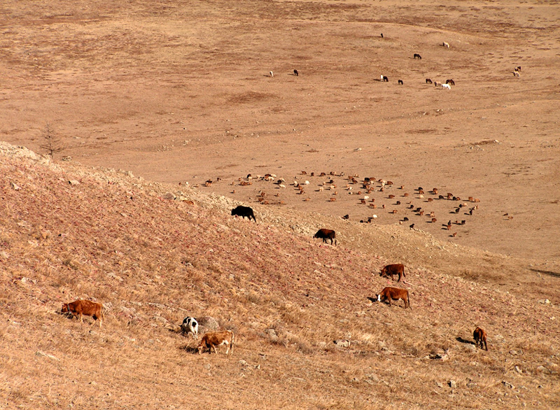 Trekking in Terejl National Park 05