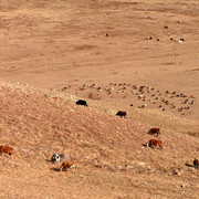 Trekking in Terejl National Park 05