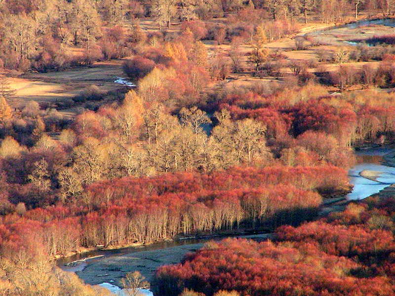 Trekking in Terejl National Park 09