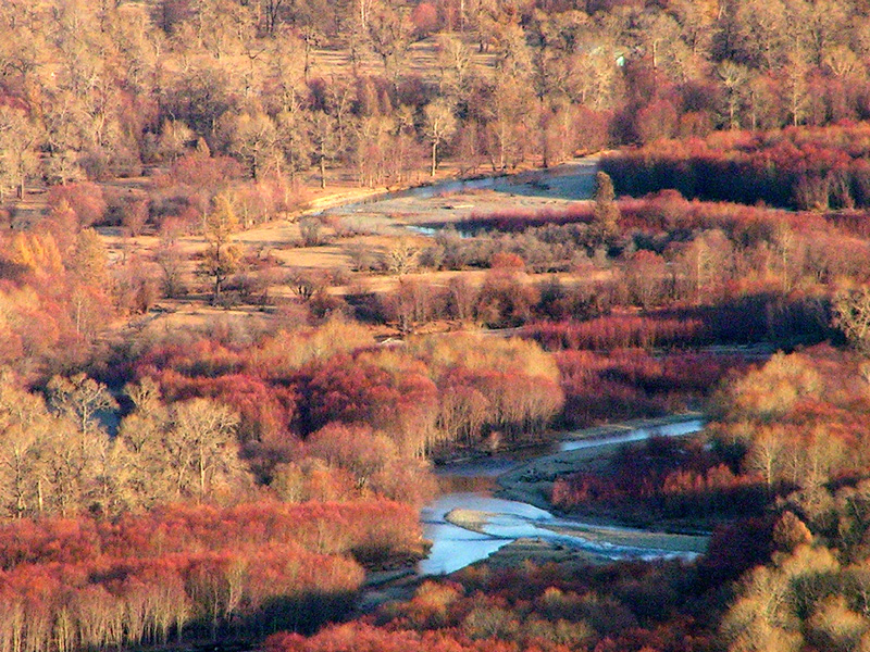 Mongolian autumn