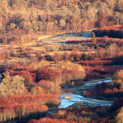 Mongolian autumn