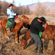Our horse-riding guide