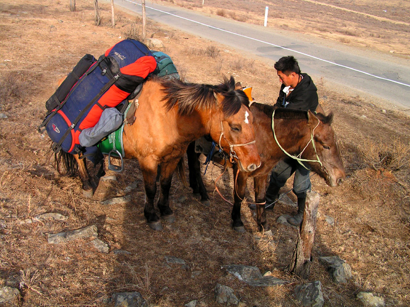 Horse riding in Terejl NP 03