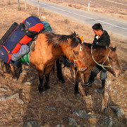 Horse riding in Terejl NP 03