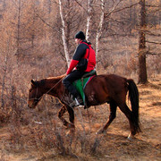 Horse riding in Terejl NP 04