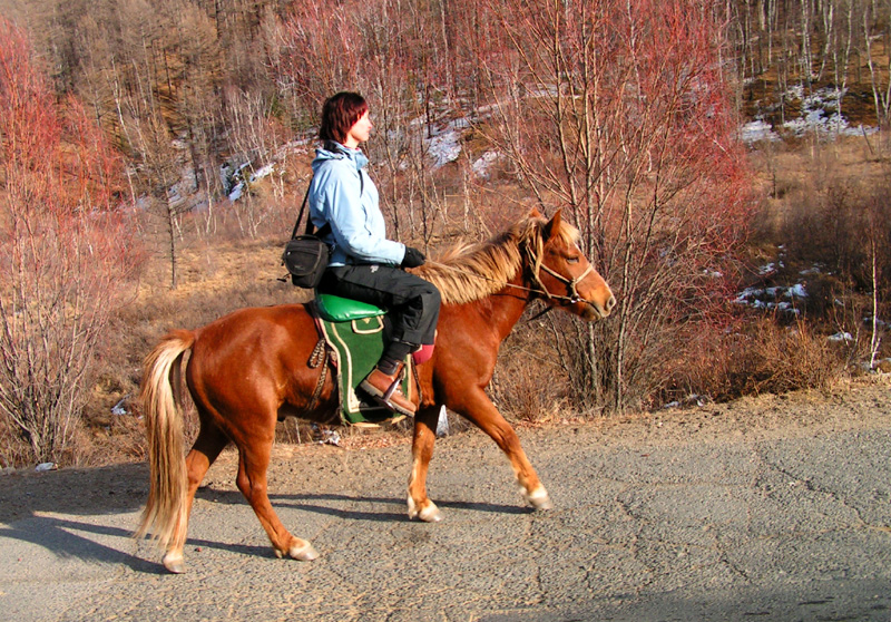 Horse riding in Terejl NP 07