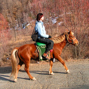 Horse riding in Terejl NP 07