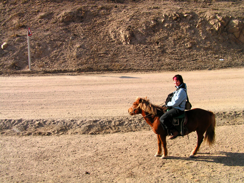 Horse riding in Terejl NP 08