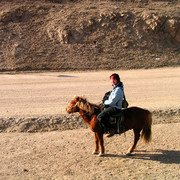 Horse riding in Terejl NP 08