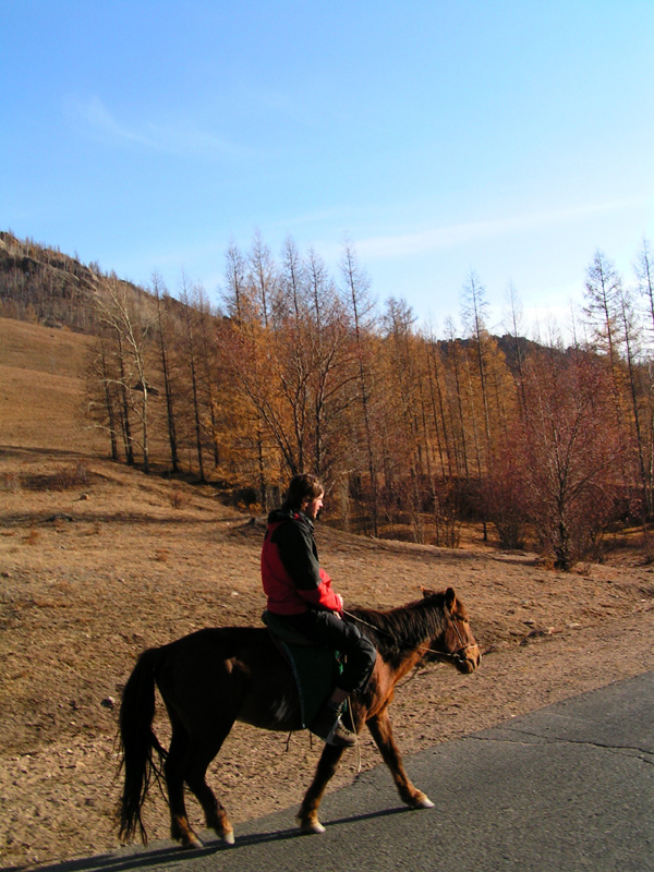 Horse riding in Terejl NP 09