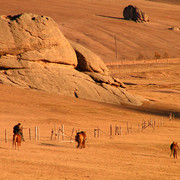 Horse riding in Terejl NP 11