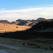 Terejl National Park from a horseback 06