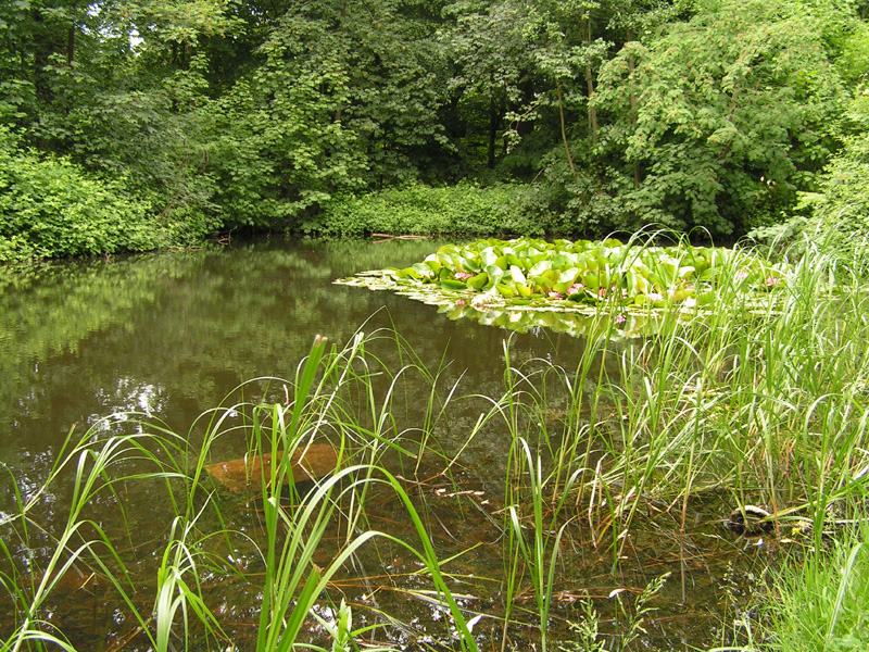 Denmark - in a park in Ribe 01