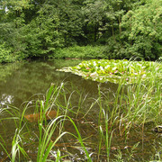 Denmark - in a park in Ribe 01