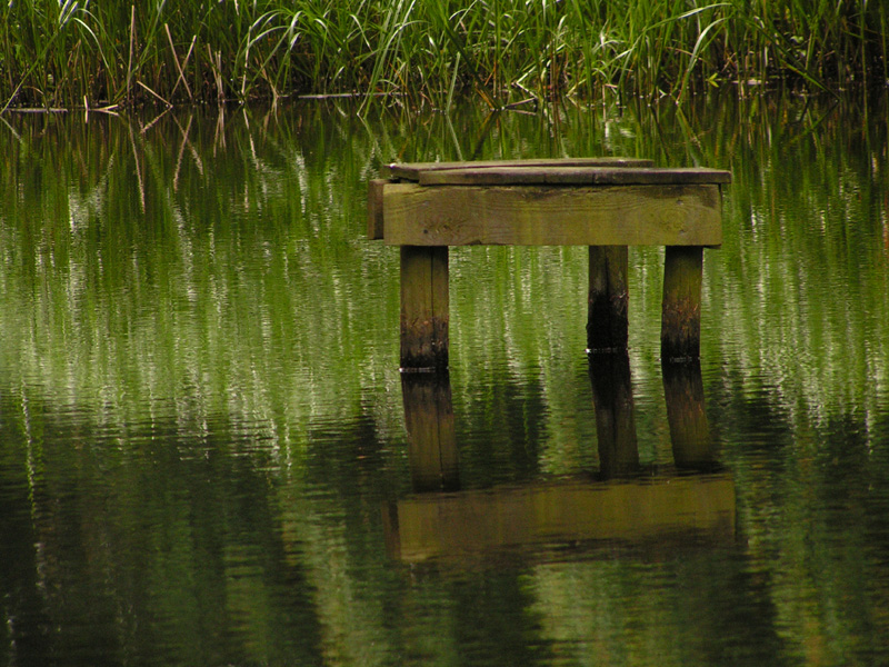 Denmark - in a park in Ribe 02