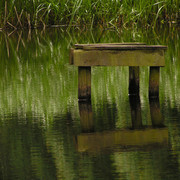 Denmark - in a park in Ribe 02