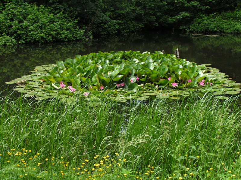 Denmark - in a park in Ribe 03