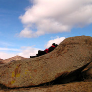 Mongolia - Brano resting on a rock bed