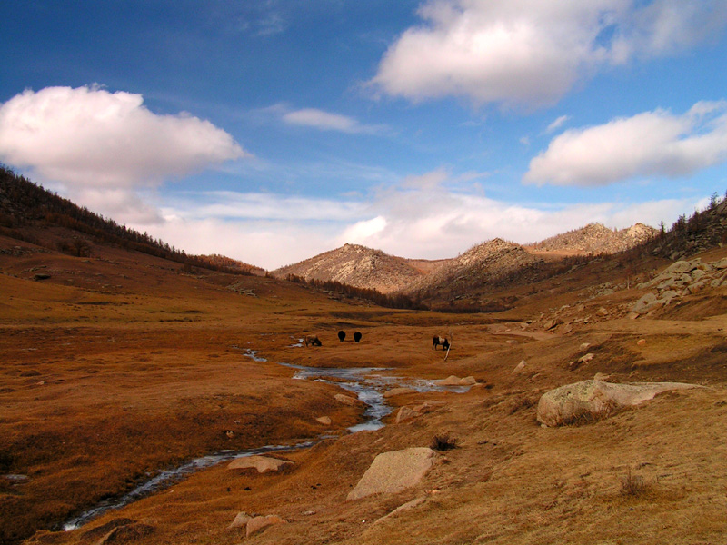 Mongolia - trekking in Tsetserleg N.P. 03