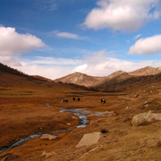 Mongolia - trekking in Tsetserleg N.P. 03