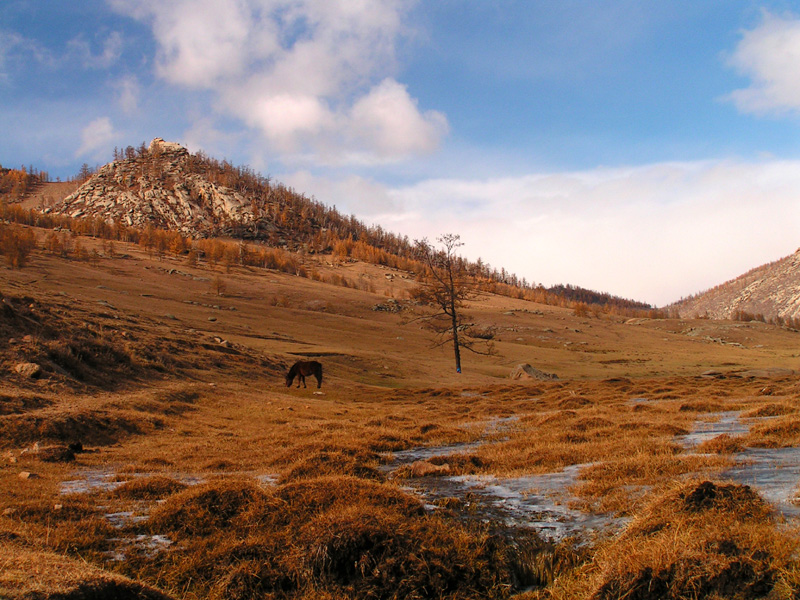 Mongolia - trekking in Tsetserleg N.P. 05