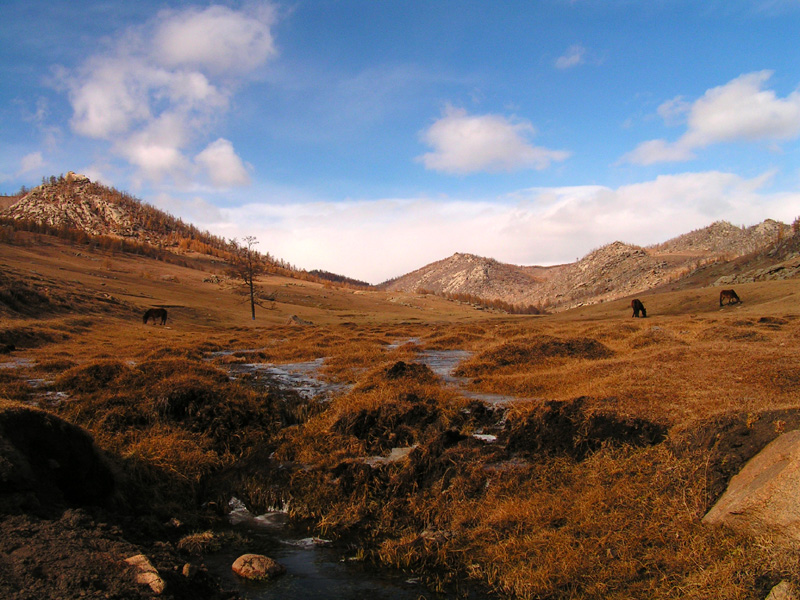 Mongolia - trekking in Tsetserleg N.P. 06