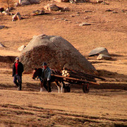 Mongolia - local herders in Tsetserleg NP