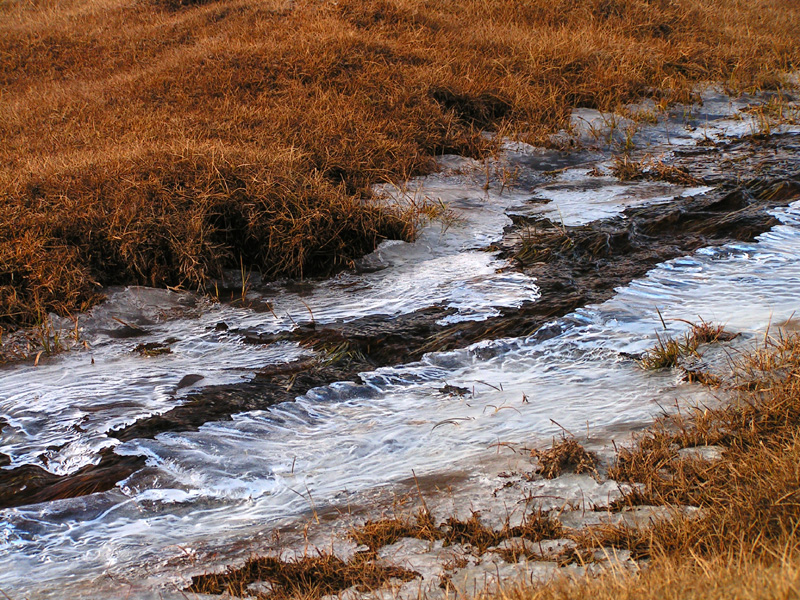 Mongolia - trekking in Tsetserleg N.P. 07