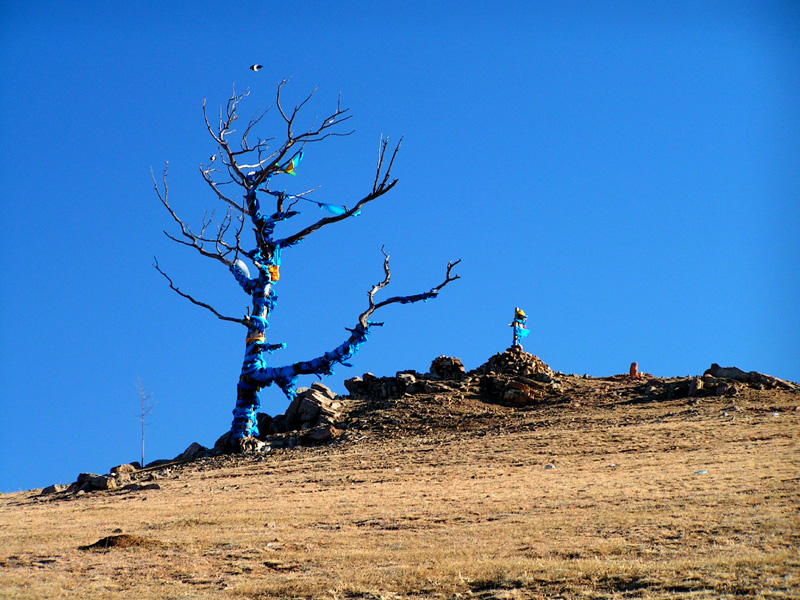 Mongolia - blue scarf everywhere