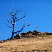 Mongolia - blue scarf everywhere