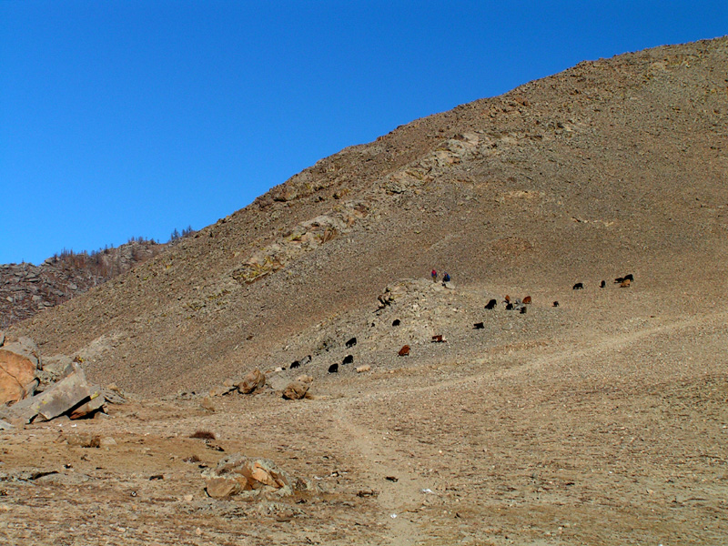 Mongolia - trekking in Tsetserleg N.P. 09