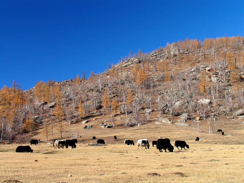 Mongolia - trekking in Tsetserleg N.P. 11