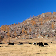 Mongolia - trekking in Tsetserleg N.P. 11