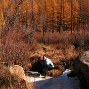 Mongolia - trekking in Tsetserleg NP 13