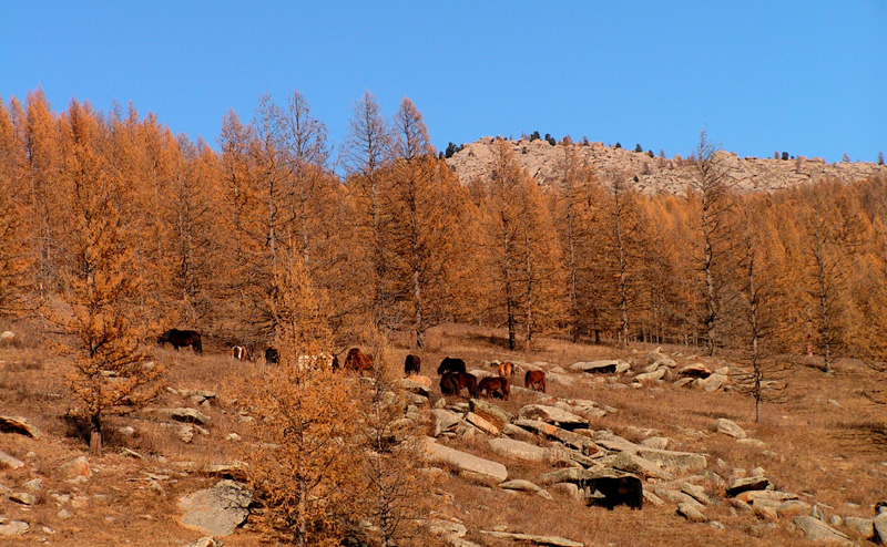 Mongolia - trekking in Tsetserleg NP 14