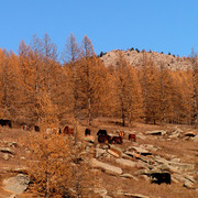 Mongolia - trekking in Tsetserleg NP 14