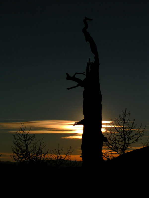 Mongolia - a sunset in Tsetserleg NP 01