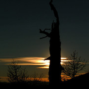 Mongolia - a sunset in Tsetserleg NP 01