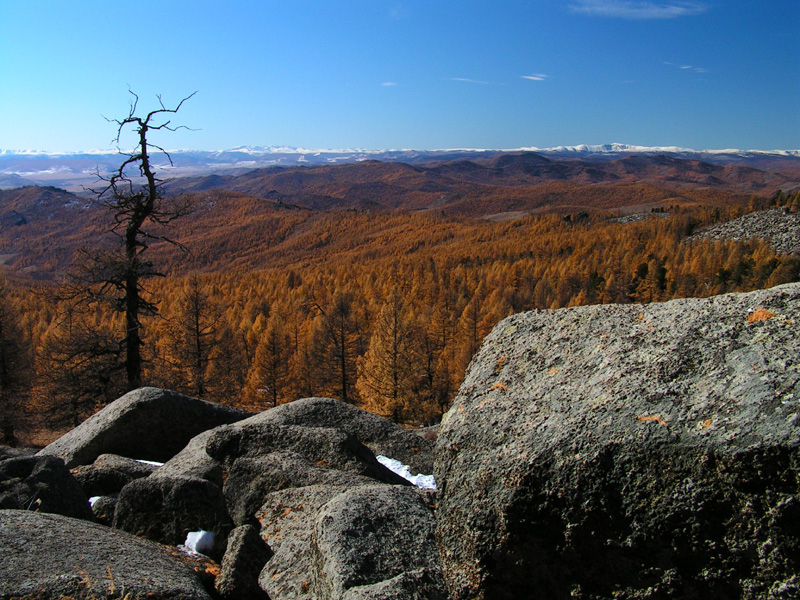 Mongolia - over looking Khangai Mountains 02