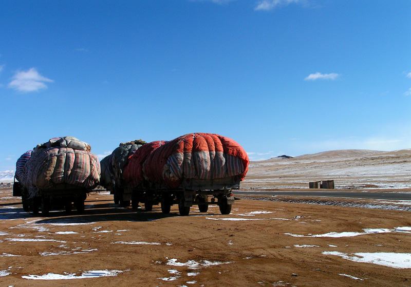 Mongolian trucks