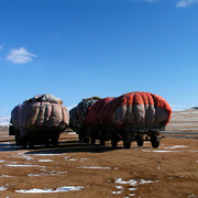 Mongolian trucks